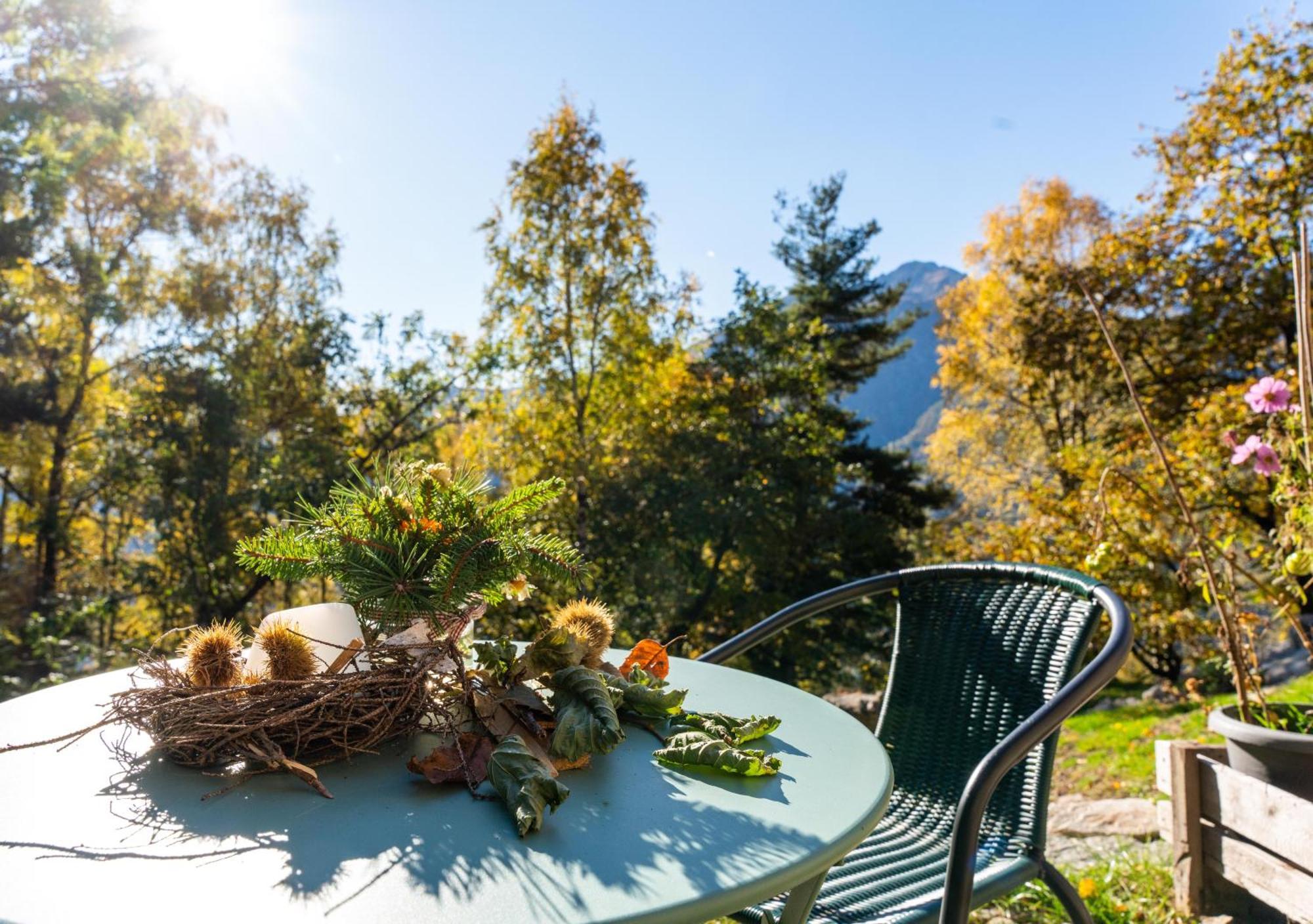 Resalbert Chalet Chiavenna Buitenkant foto